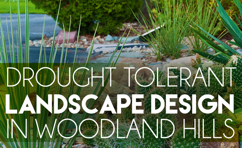 Featured image of post Southern California Drought Tolerant Landscape Design : It goes without saying that benefit from a comprehensive landscape maintenance plan designed to meet your needs and.